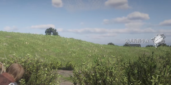 《荒野大镖客2》完美野牛皮获得方法介绍