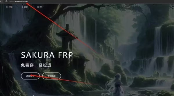 幻兽帕鲁本地服务器搭建教程,本地IP限制解决方法