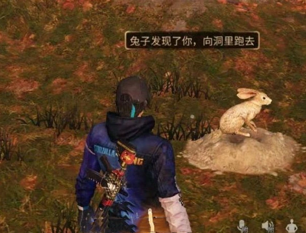 《明日之后》如何养兔子赚钱心得分享，养兔子攻略