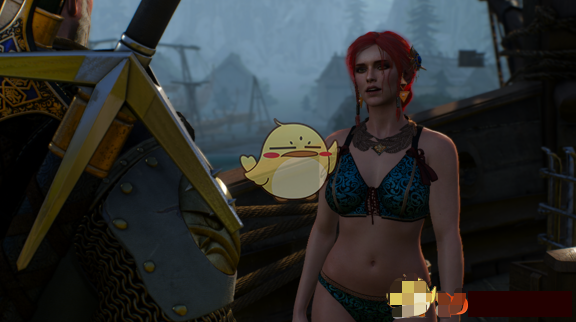 巫师3：狂猎"新手福利"女性NPC衣服代码大全一览