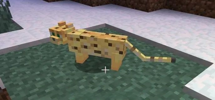 我的世界豹猫怎么驯服 教你5步轻松顺服豹猫