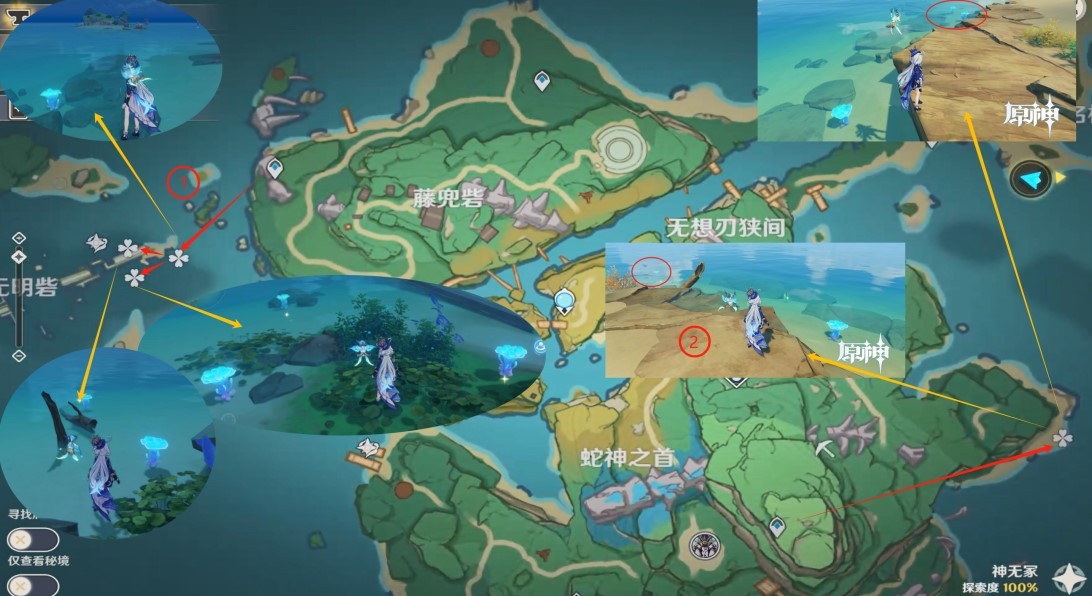 《原神》“海灵芝”采集路线,海灵芝位置一览