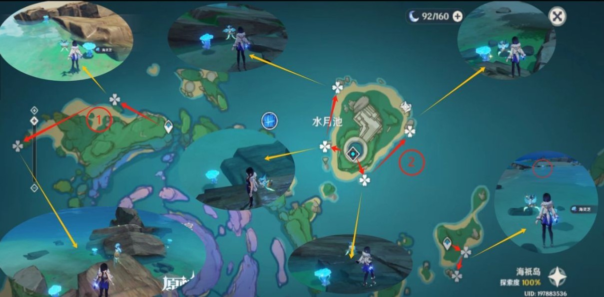 《原神》“海灵芝”采集路线,海灵芝位置一览