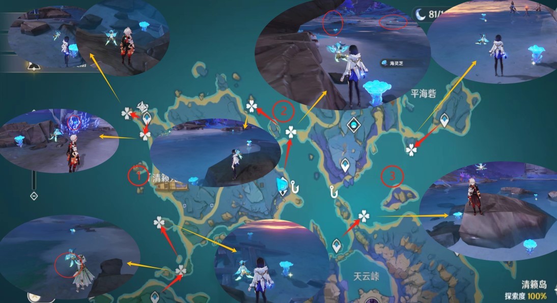 《原神》“海灵芝”采集路线,海灵芝位置一览