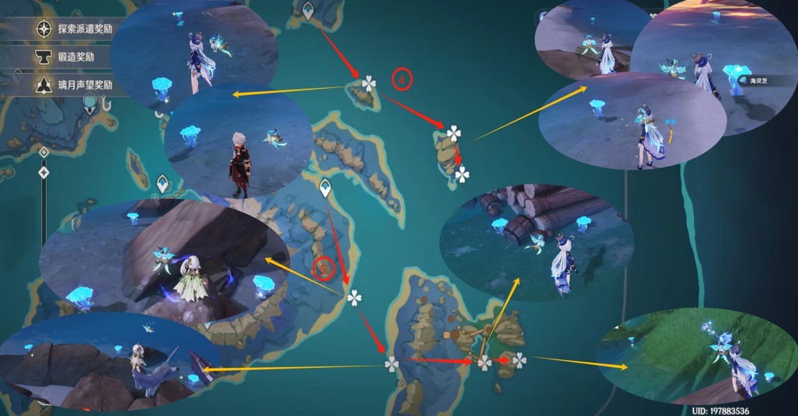 《原神》“海灵芝”采集路线,海灵芝位置一览