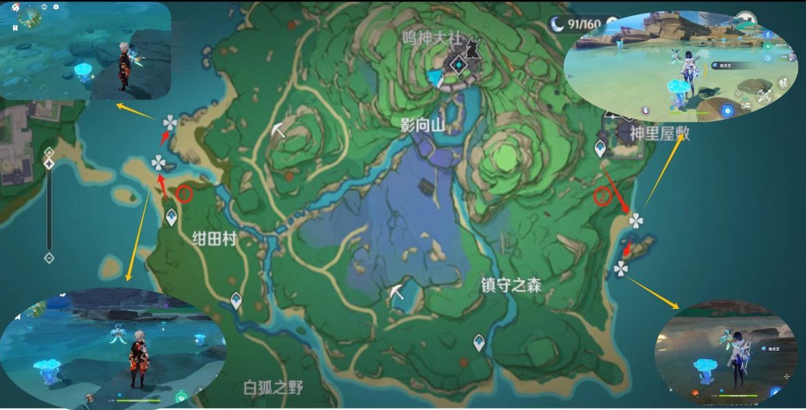 《原神》“海灵芝”采集路线,海灵芝位置一览