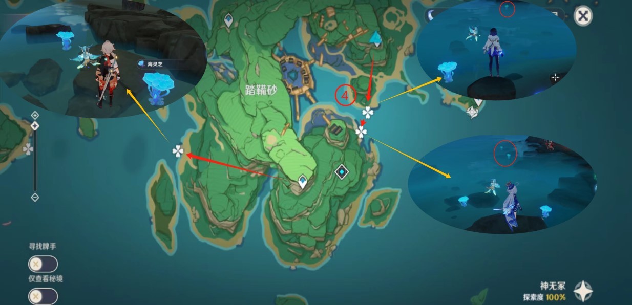 《原神》“海灵芝”采集路线,海灵芝位置一览