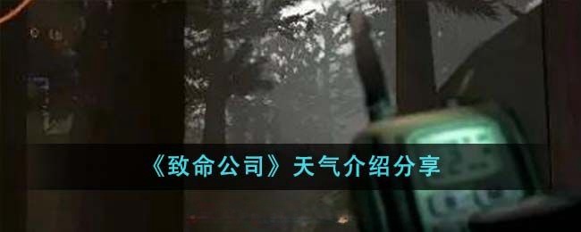 《致命公司》天气有哪些?6种天气系统机制详解