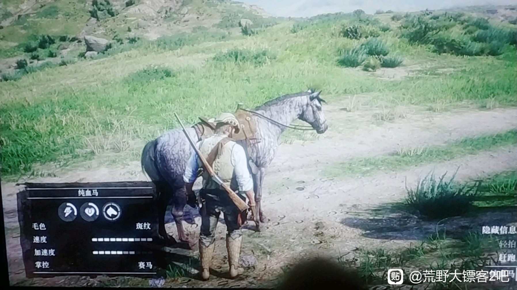 《荒野大镖客2》满速纯血马抓取位置