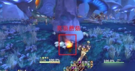 魔兽亮顶蘑菇在哪获得 亮顶蘑菇作用是什么
