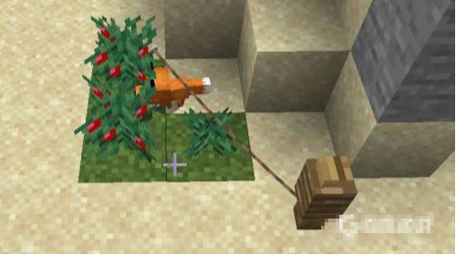 我的世界狐狸怎么驯服?我的世界狐狸怎么驯服教程