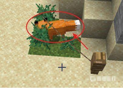 我的世界狐狸怎么驯服?我的世界狐狸怎么驯服教程