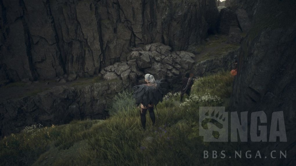 龙之信条2增幅戒指与引雷杖获取教程 引雷杖在哪