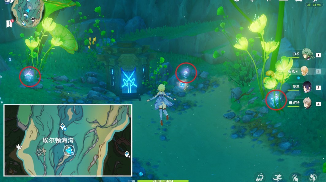 《原神》“海露花”快速采集线路分享 海露花怎么获得