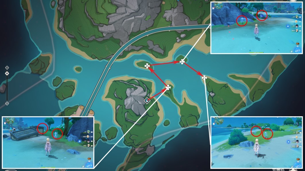 《原神》“海露花”快速采集线路分享 海露花怎么获得