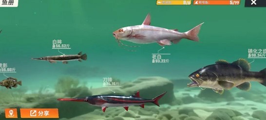 欢乐钓鱼大师鱼类全图鉴