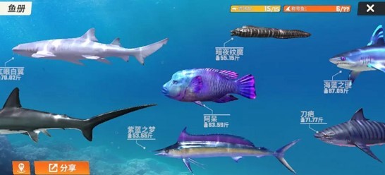 欢乐钓鱼大师鱼类全图鉴