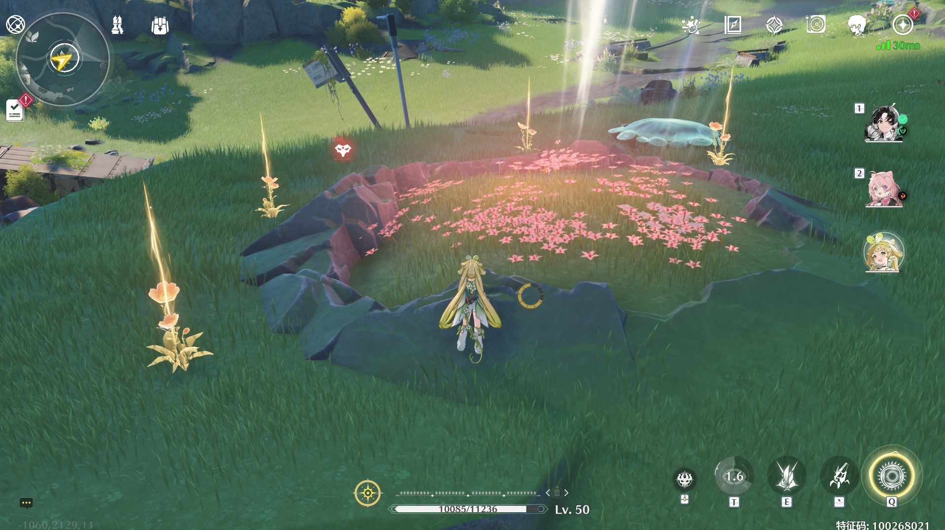 《鸣潮》“妙弋花”高效采集路线分享