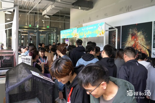 《猫咪和汤》×北京领养日×小米食堂联动,送你一只猫!