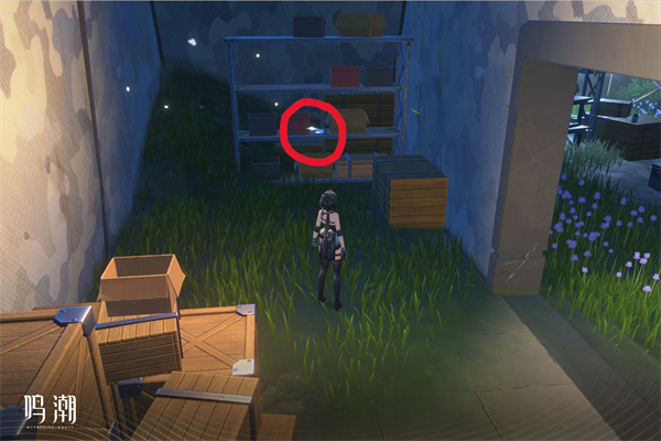 《鸣潮》“无光之森生态调查”图文攻略介绍