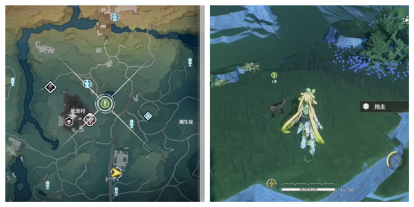 《鸣潮》“拯救世界拯救猫咪”任务完成攻略