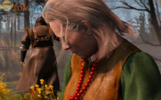 《巫师3》“重回驼背沼泽”支线攻略，重回驼背沼泽任务怎么做