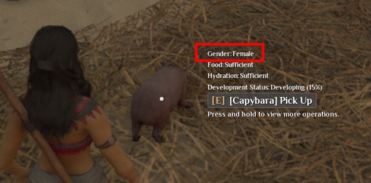 《灵魂面甲》动物捕捉与养殖攻略,怎么捕捉动物