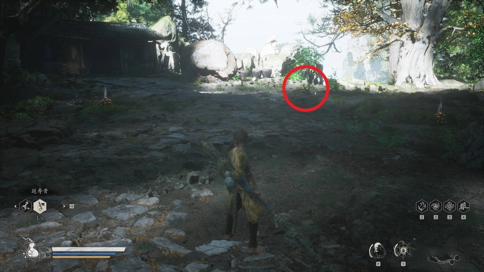 《黑神话悟空》蘑女精魄位置说明,蘑女在哪?