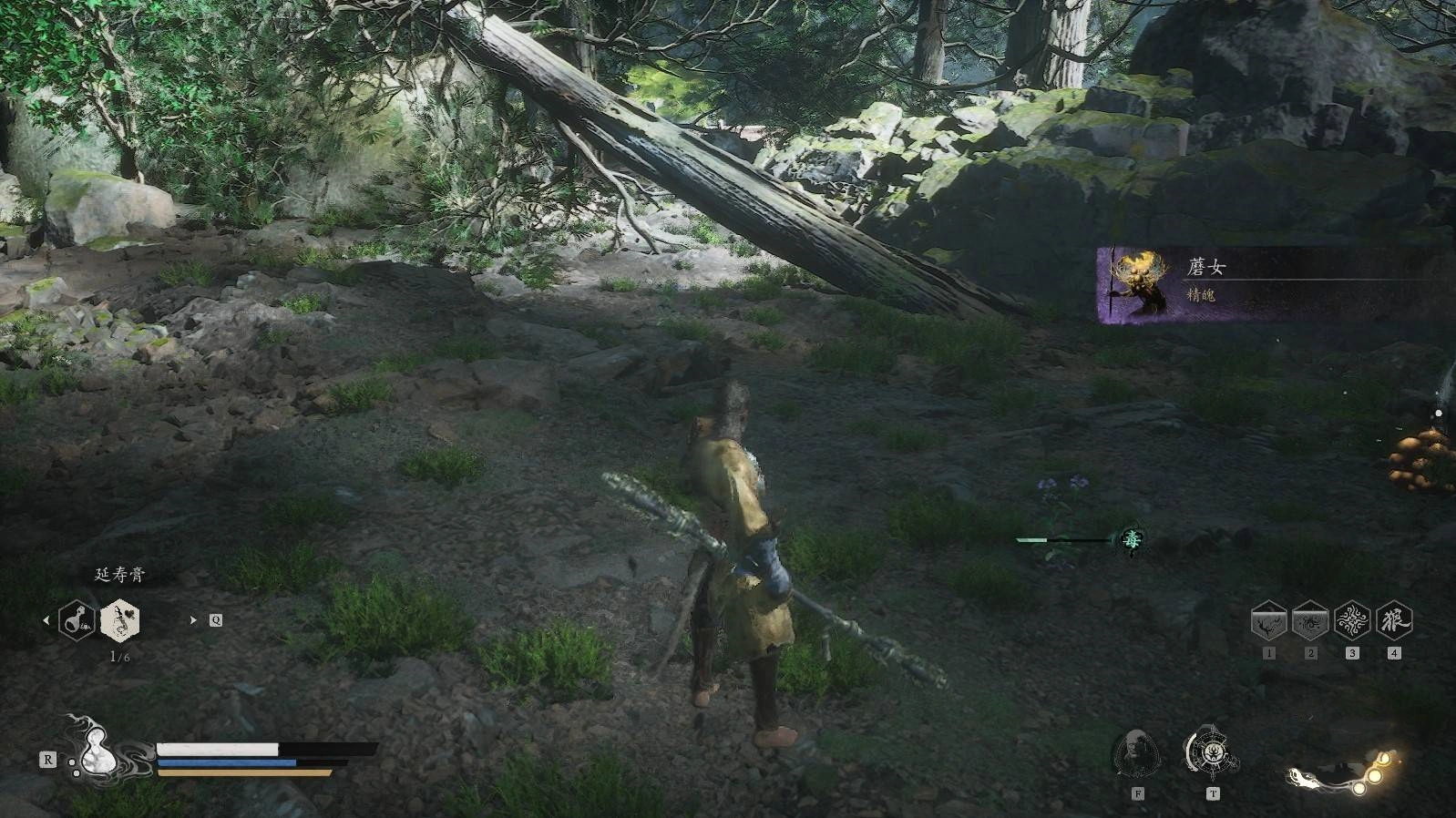 《黑神话悟空》蘑女精魄位置说明,蘑女在哪?