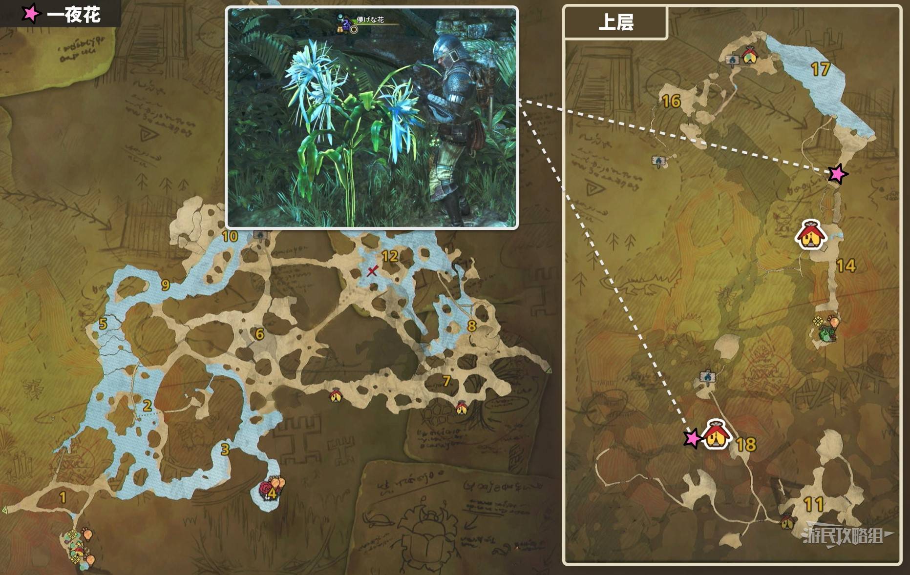 《怪物猎人荒野》“一夜花的月华粉”速刷方法，一夜花的月华粉在哪