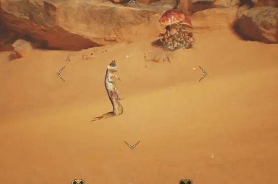 《怪物猎人荒野》“达里尔的研究报告”任务攻略，端丽翼鸟在哪