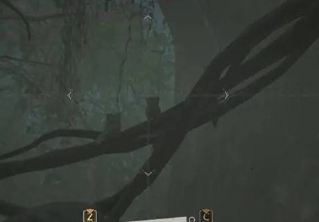 《怪物猎人荒野》“达里尔的研究报告”任务攻略，端丽翼鸟在哪