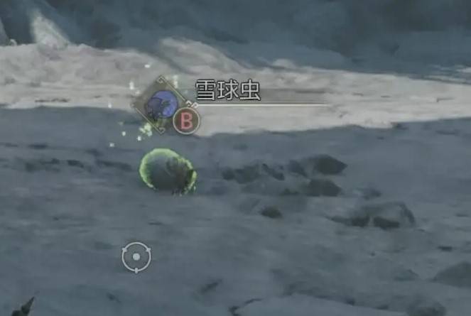 《怪物猎人荒野》“达里尔的研究报告”任务攻略，端丽翼鸟在哪