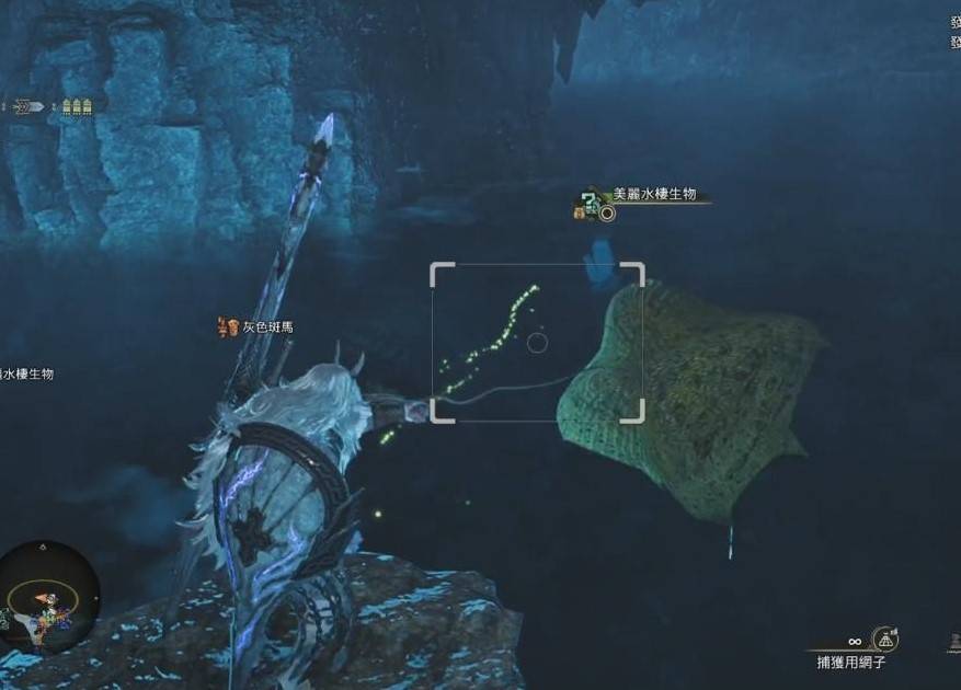 《怪物猎人荒野》钓鱼支线任务攻略,带卵弓鳍鱼怎么钓
