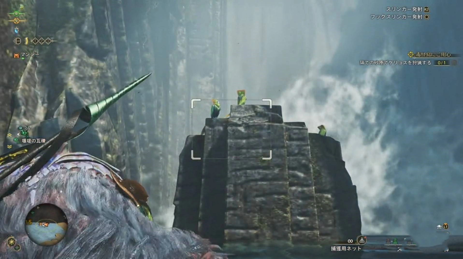 《怪物猎人荒野》“端丽翼鸟”位置及捕获方法,端丽翼鸟在哪抓