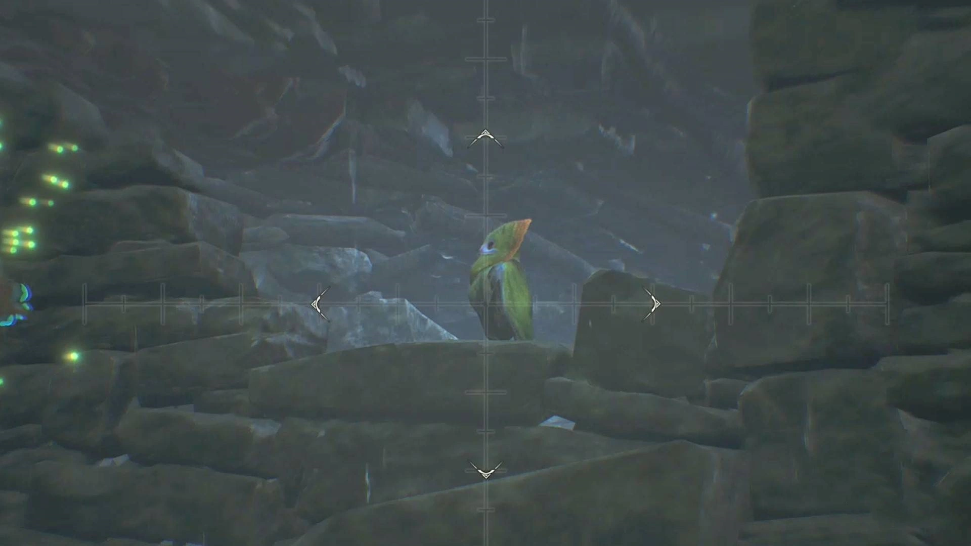 《怪物猎人荒野》“端丽翼鸟”位置及捕获方法,端丽翼鸟在哪抓