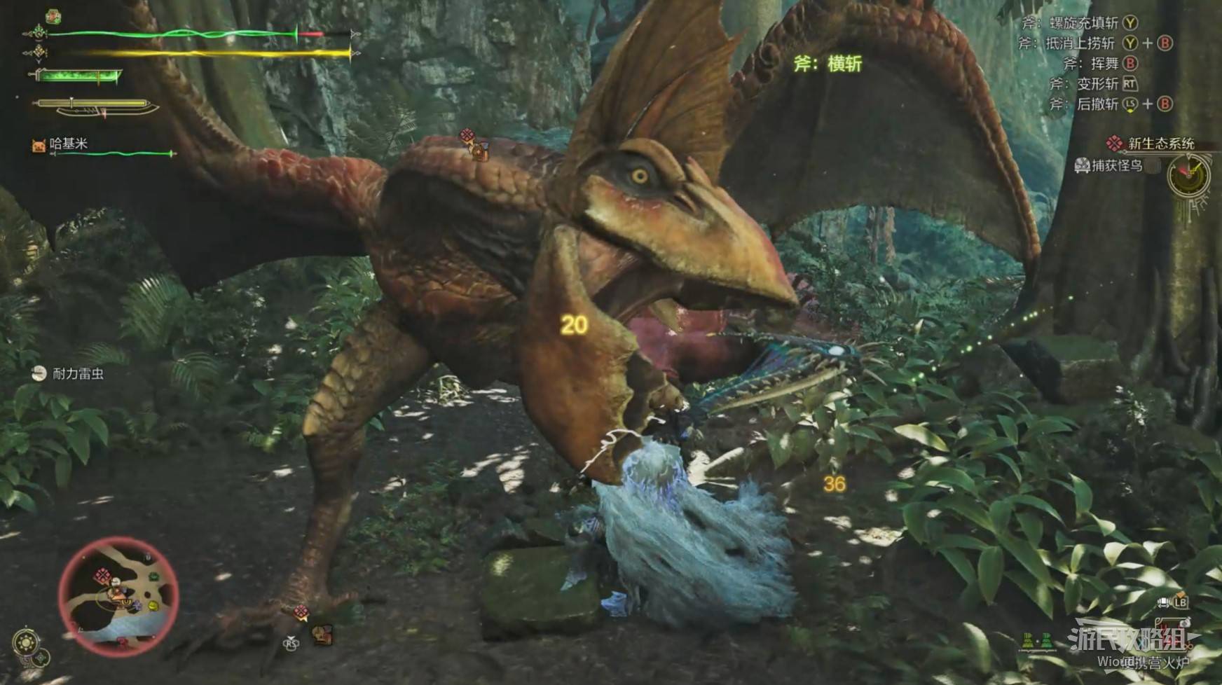 《怪物猎人荒野》“怪鸟”打法及掉落材料一览,怪鸟怎么打
