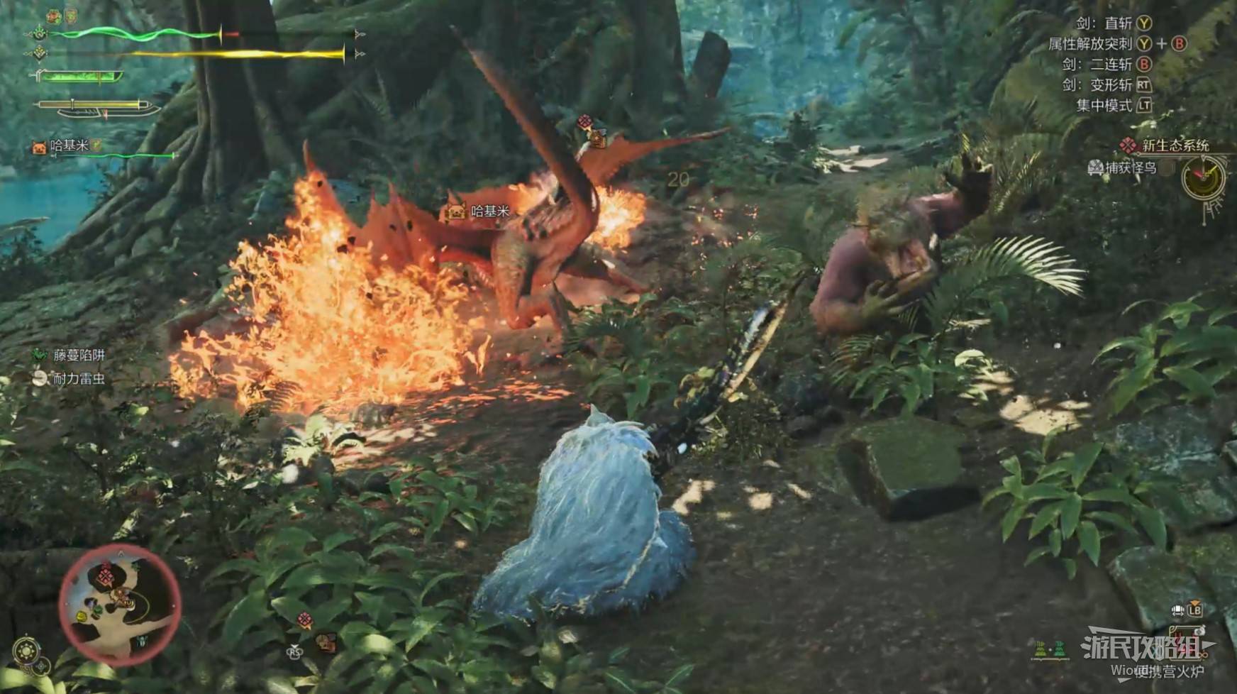 《怪物猎人荒野》“怪鸟”打法及掉落材料一览,怪鸟怎么打