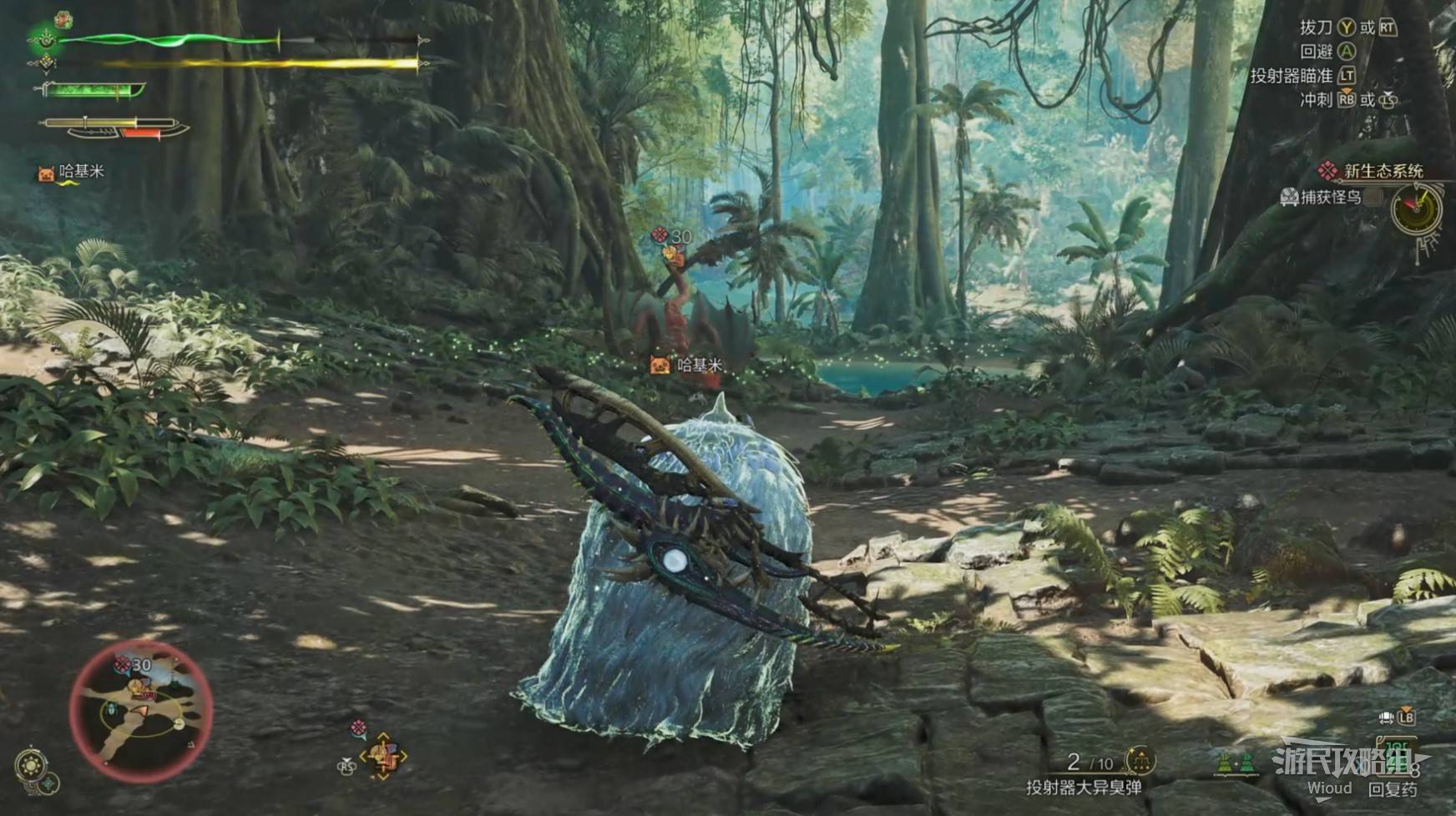 《怪物猎人荒野》“怪鸟”打法及掉落材料一览,怪鸟怎么打