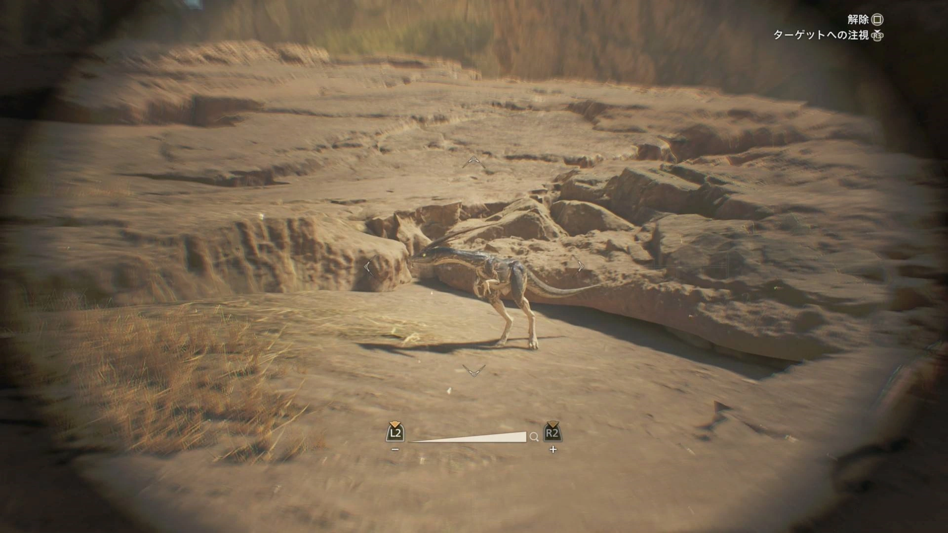 《怪物猎人荒野》“黑风切龙”位置及捕捉方法,黑风切龙在哪