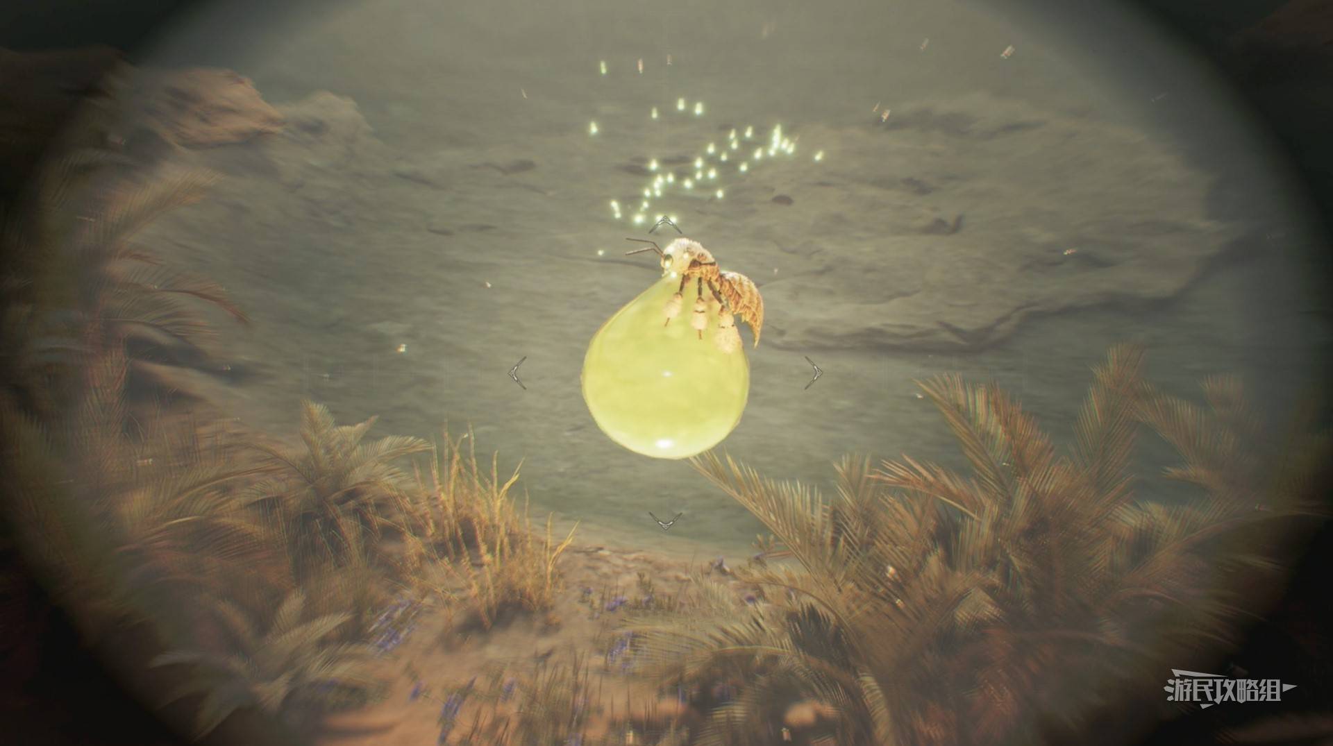 《怪物猎人荒野》“大回复蜜虫”位置及捕获方法,大回复蜜虫在哪抓