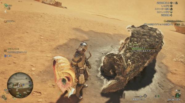 《怪物猎人荒野》“冬龙夏草”位置及获取方法,冬龙夏草在哪