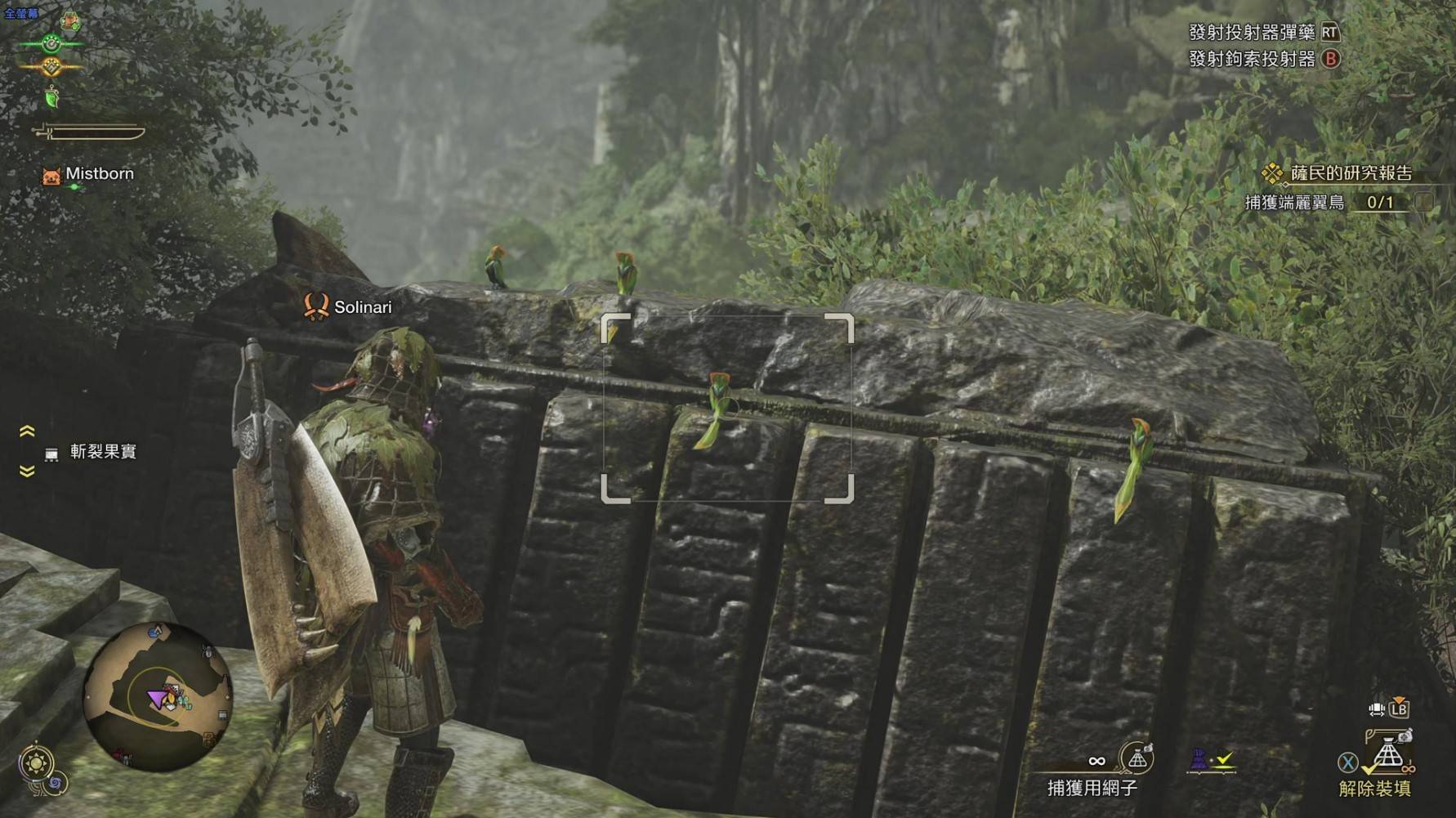 《怪物猎人荒野》“端丽翼鸟”在哪抓,端丽翼鸟捕获教程
