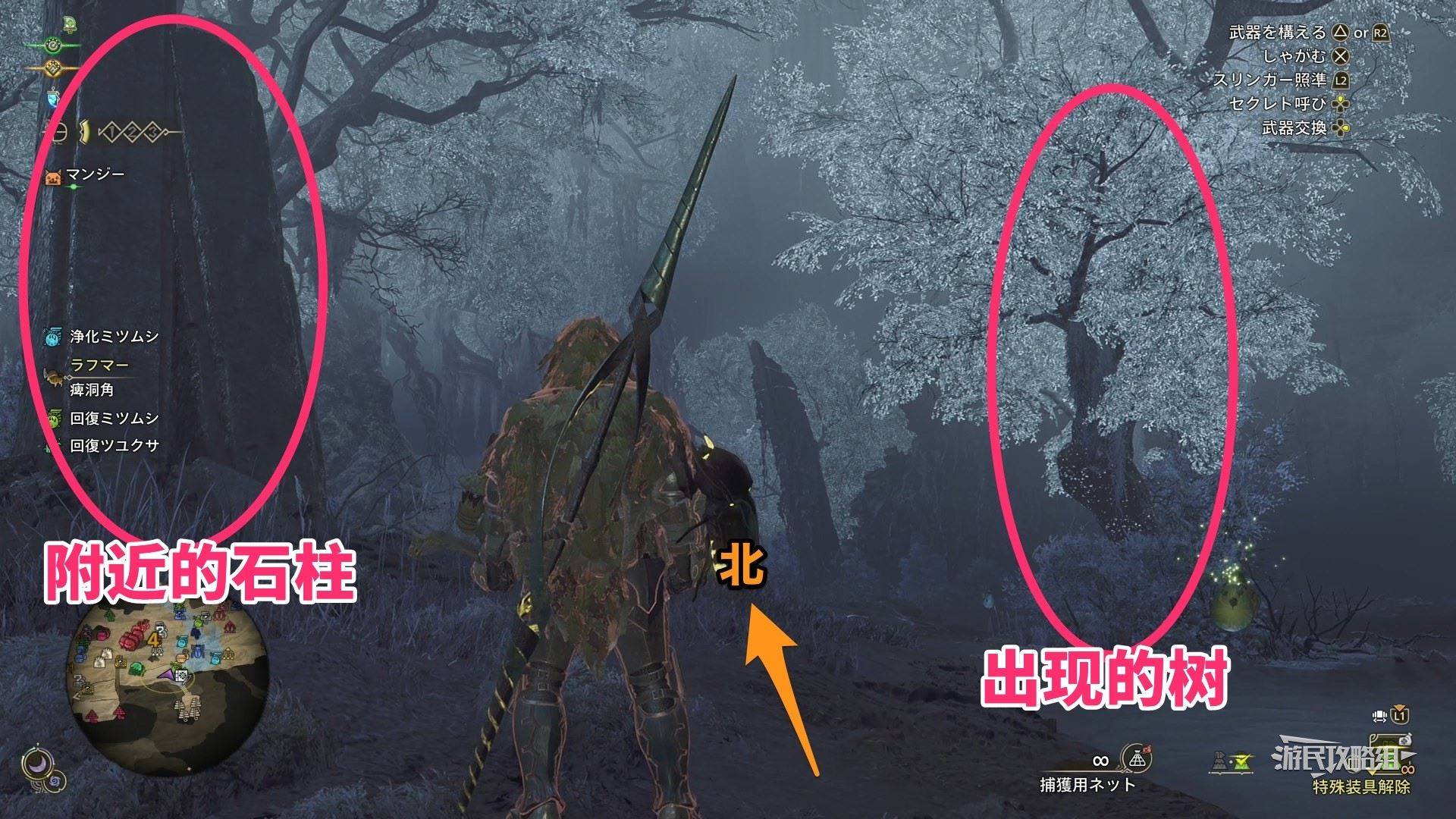 《怪物猎人荒野》“虹色大独角仙”位置及捕获方法,虹色大独角仙在哪抓