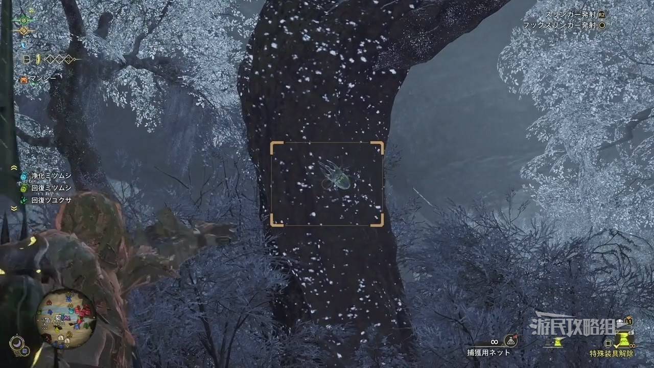 《怪物猎人荒野》“虹色大独角仙”位置及捕获方法,虹色大独角仙在哪抓