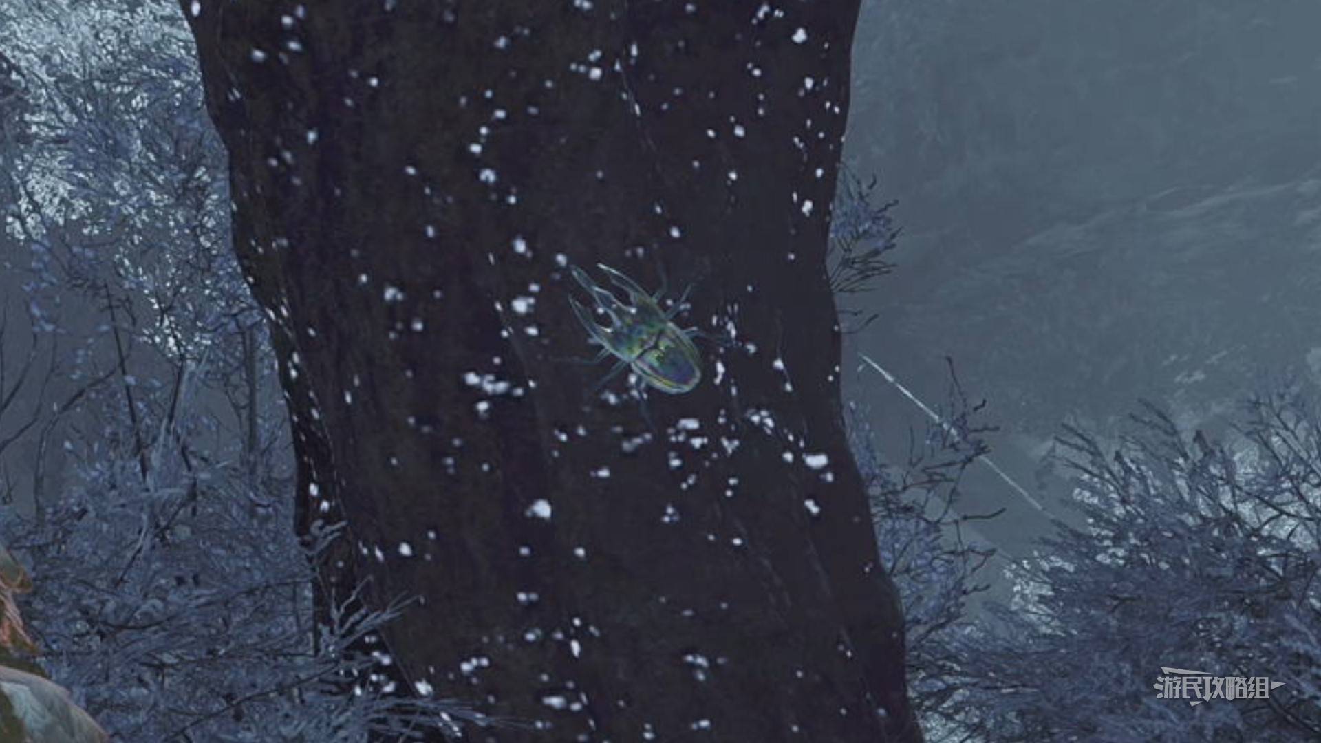 《怪物猎人荒野》“虹色大独角仙”位置及捕获方法,虹色大独角仙在哪抓