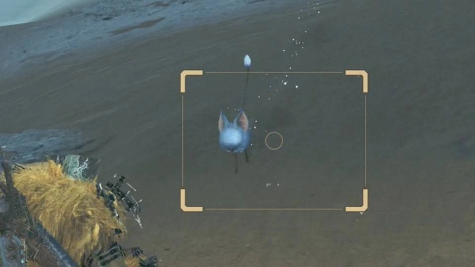 《怪物猎人荒野》“沙野流星”位置及捕获方法，沙野流星怎么抓