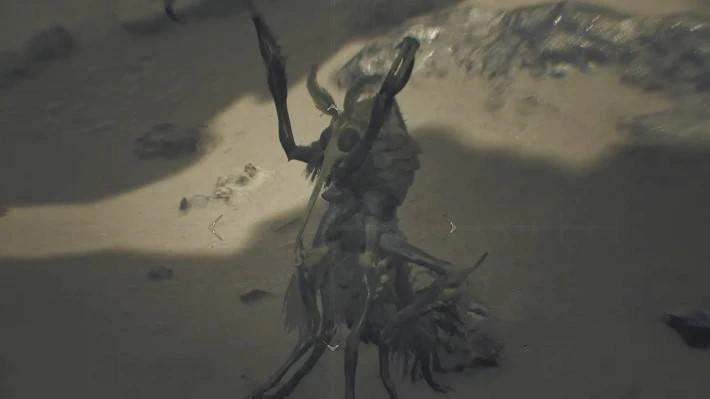 《怪物猎人荒野》“血盗虫”地图位置及掉落素材介绍，血盗虫在哪