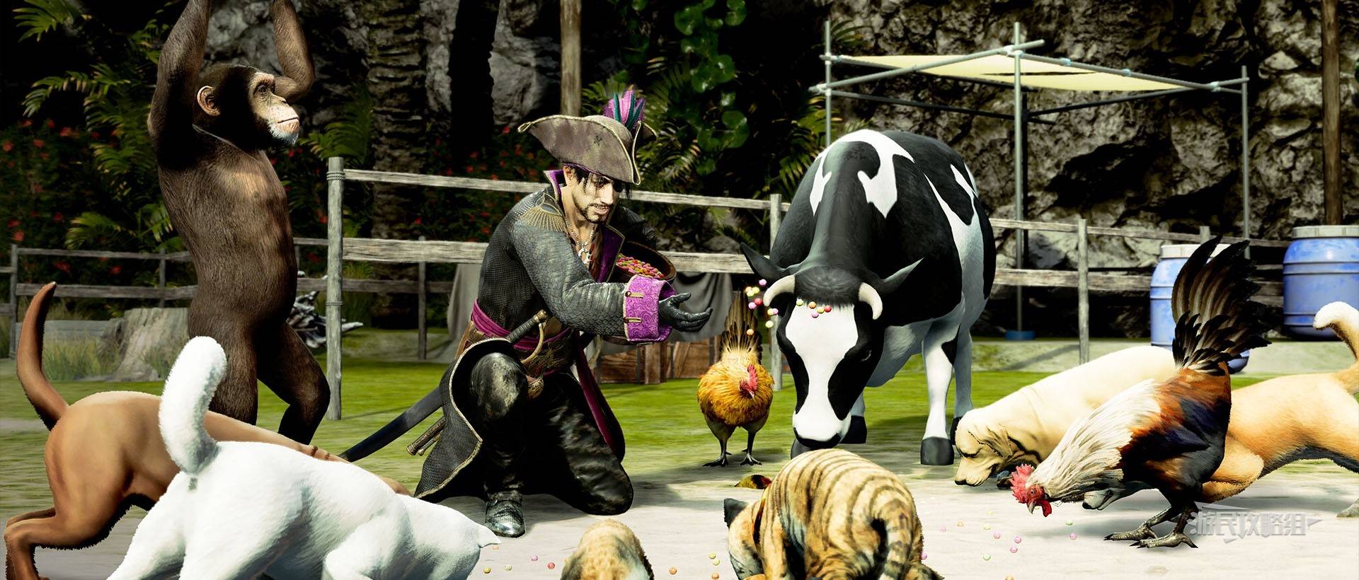 《如龙8外传夏威夷海盗》吾朗王国全动物位置一览,救护动物在哪