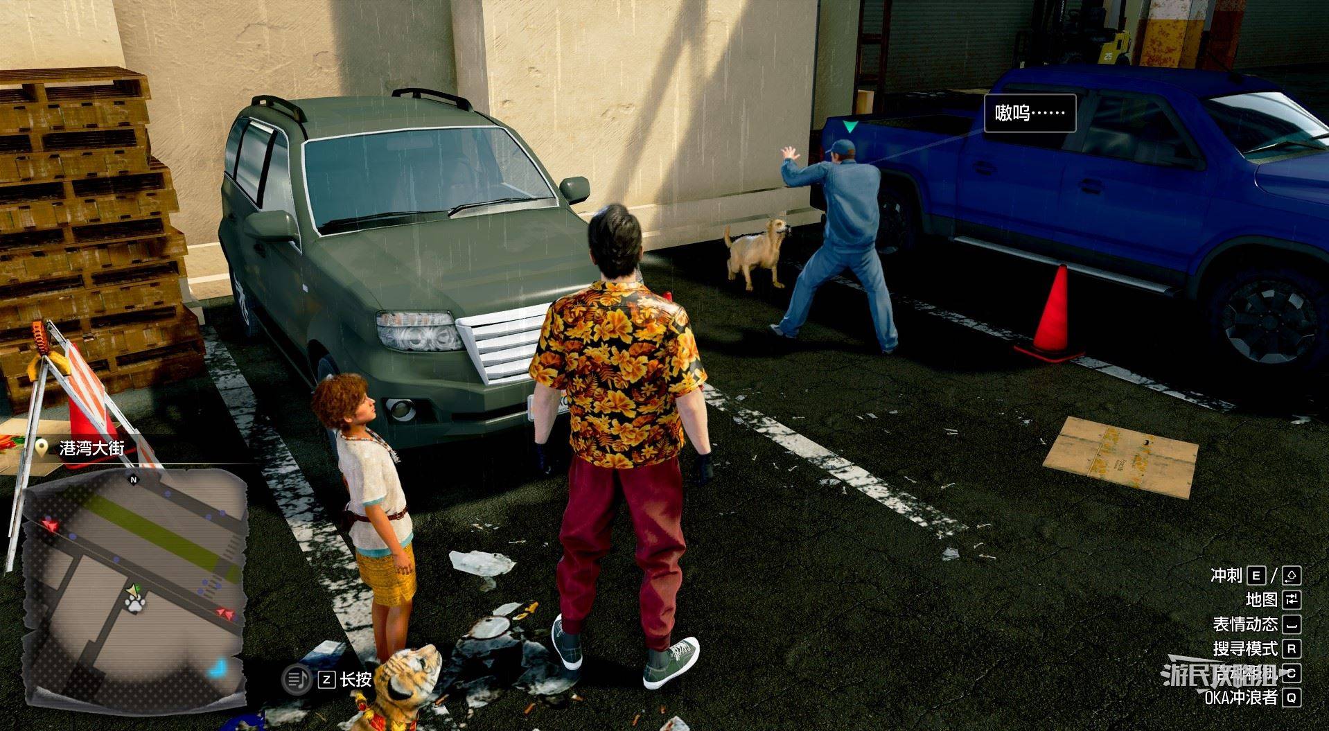 《如龙8外传夏威夷海盗》吾朗王国全动物位置一览,救护动物在哪